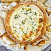 Camembert cob loaf on large white serving platter with fresh thyme leaves.