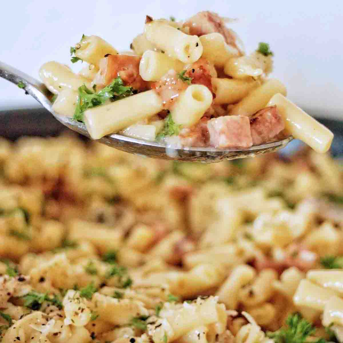 Carbonara Macaroni