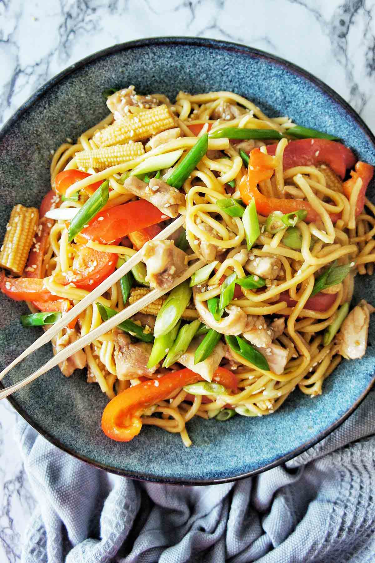 Vegetable Chicken Stir Fry Noodles