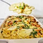 Spoon holding potato bae above white baking dish of the same.