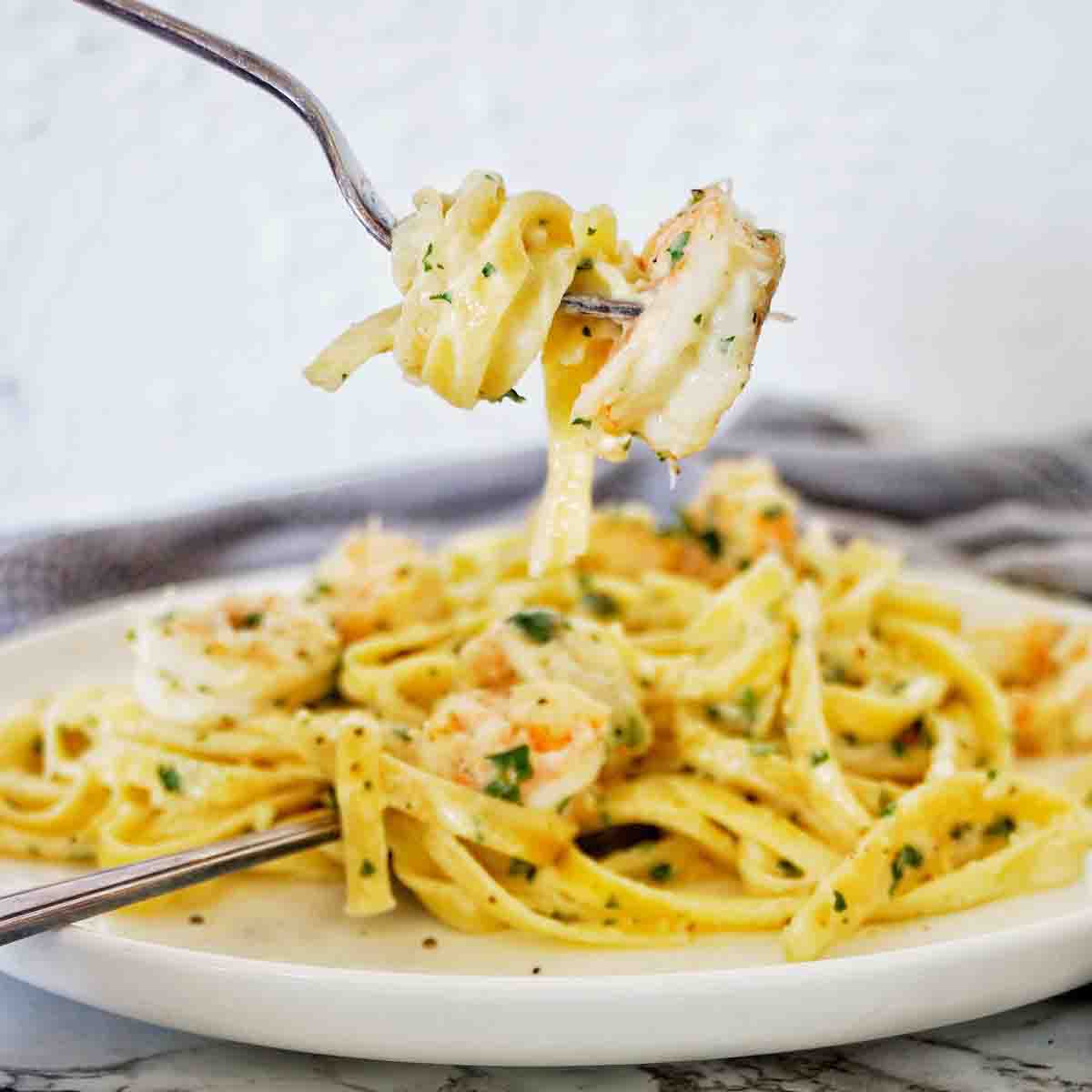 Prawn alfredo deals